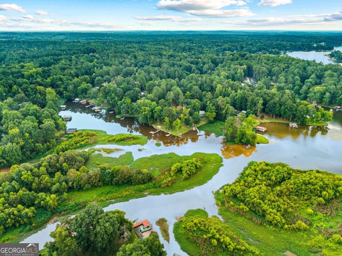 110 Turtle Court Eatonton - Photo 46