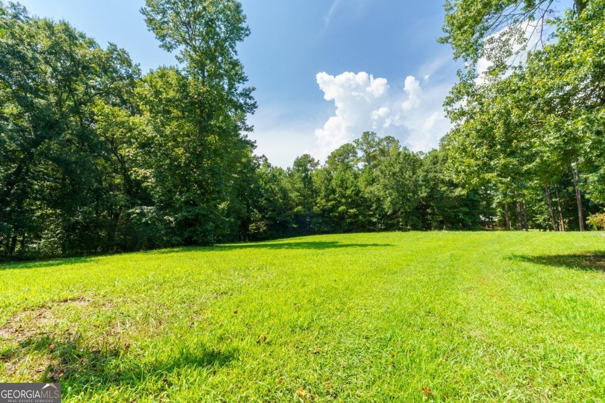1175 Shoal Creek Road Colbert - Photo 63