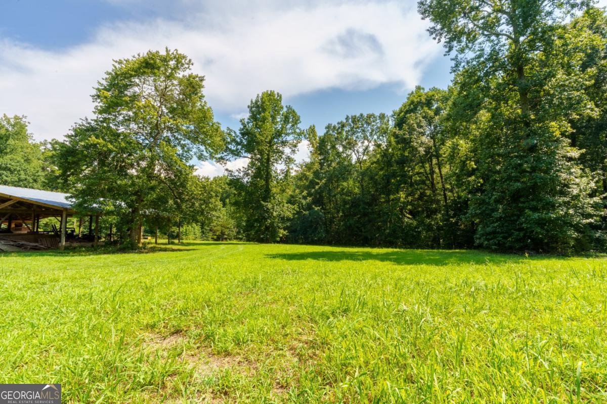 1175 Shoal Creek Road Colbert - Photo 66