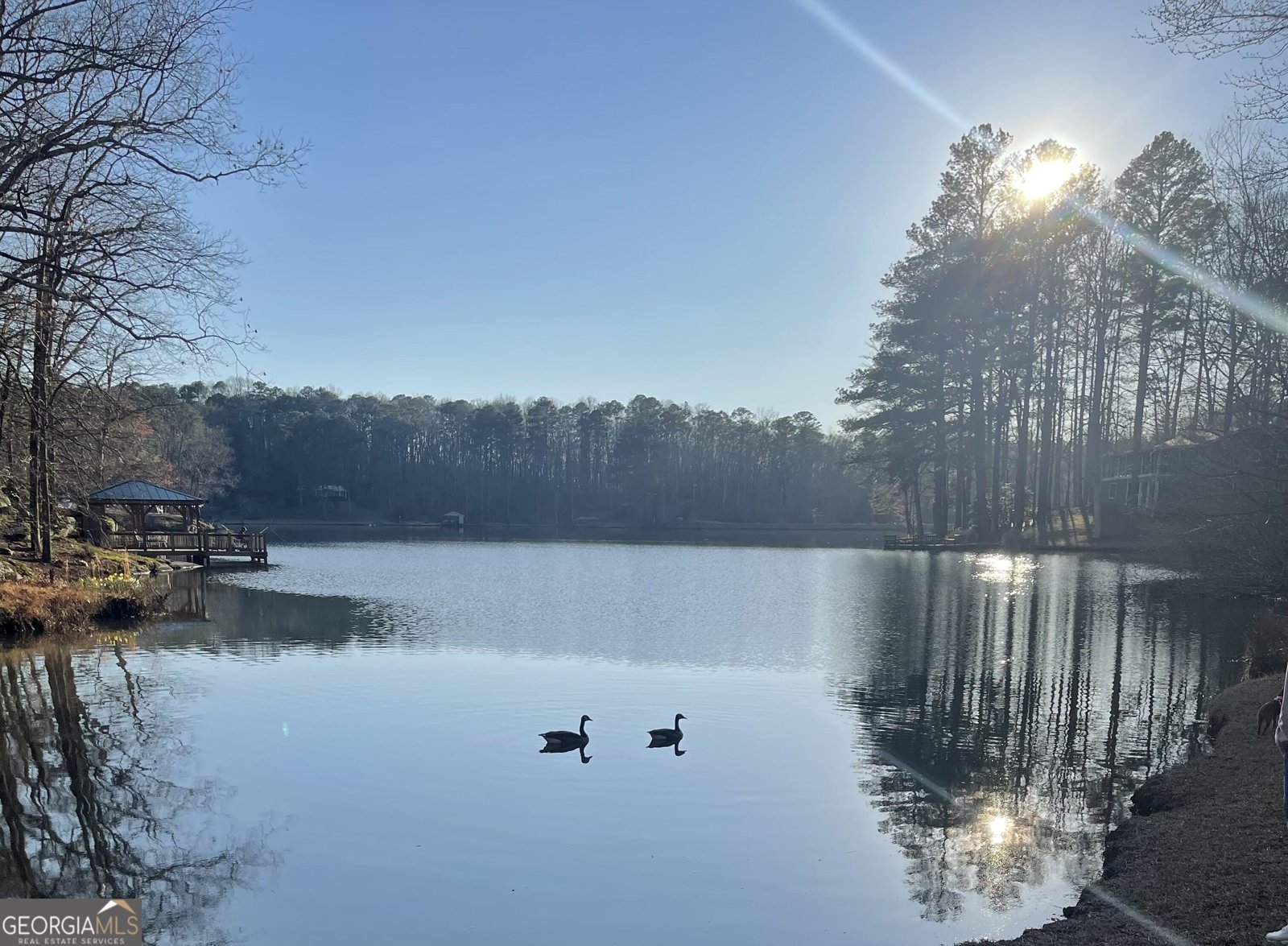 7650 Rico Road Chattahoochee Hills - Photo 16