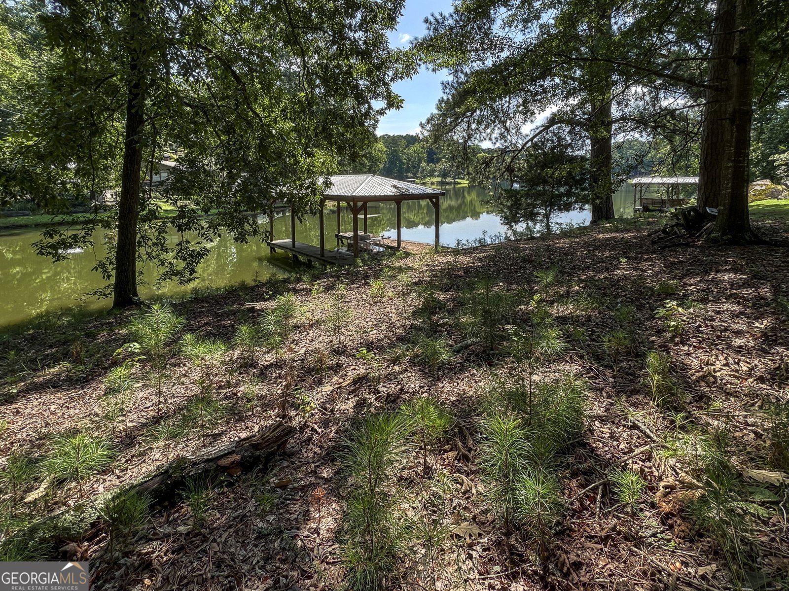 7650 Rico Road Chattahoochee Hills - Photo 6