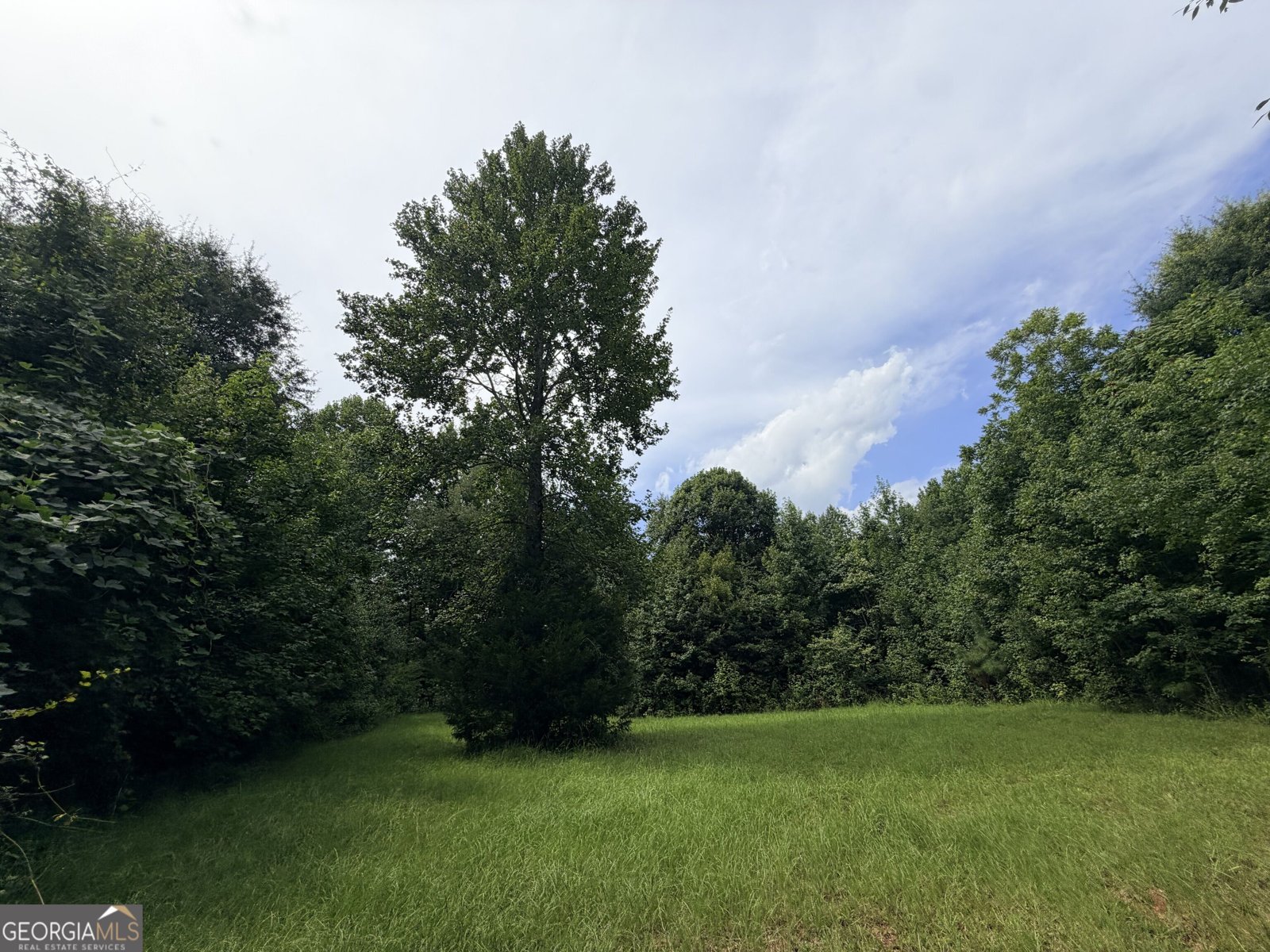 161 Mount Bethel Road Commerce - Photo 172