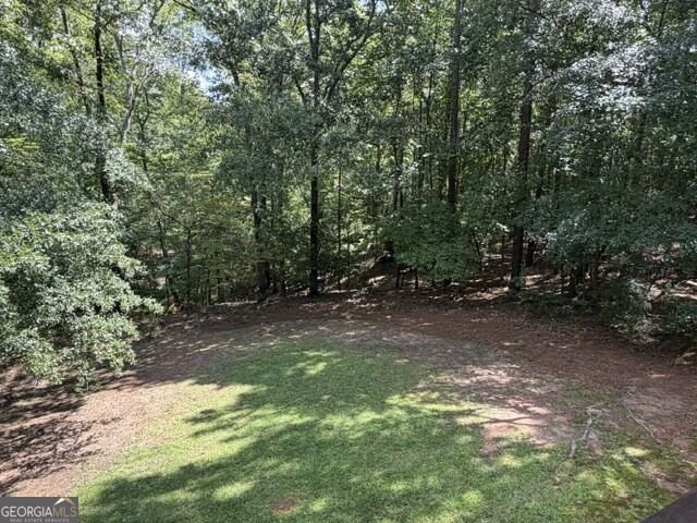 223 NORTH COVE DRIVE NEWNAN - Photo 39