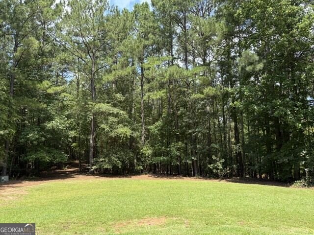 223 NORTH COVE DRIVE NEWNAN - Photo 41
