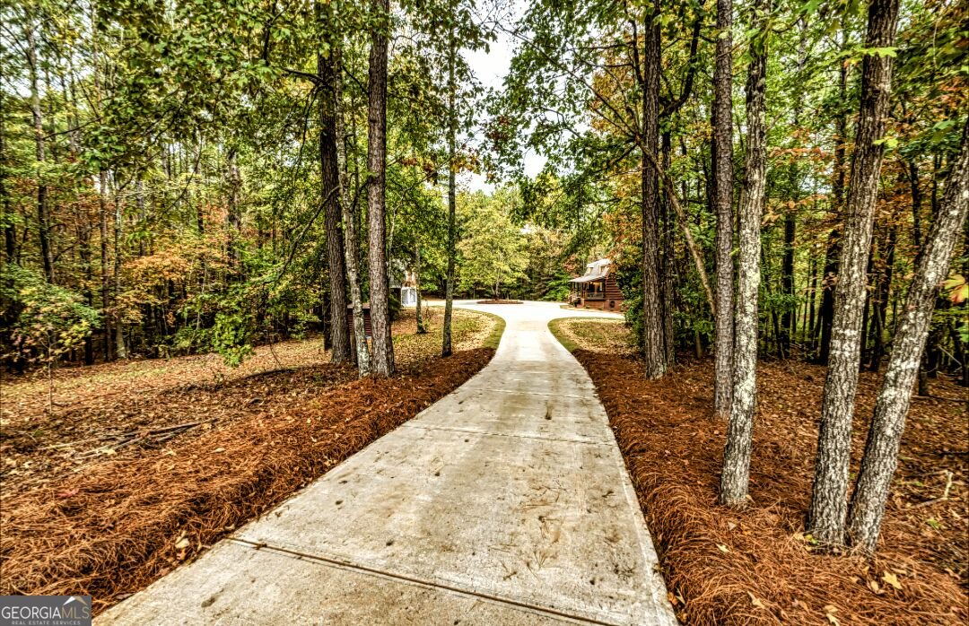 223 NORTH COVE DRIVE NEWNAN - Photo 59