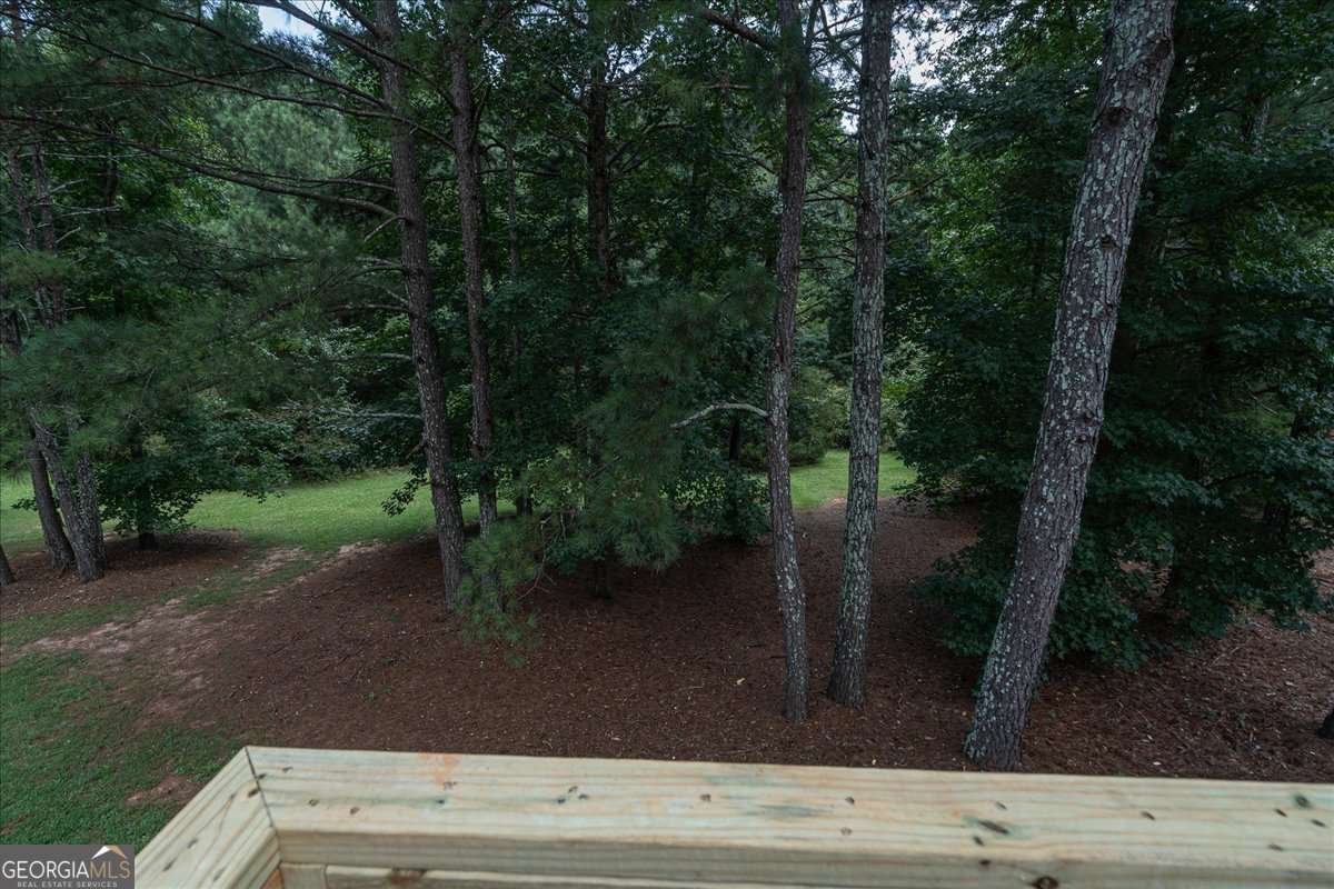 413 Tori Drive Winder - Photo 39