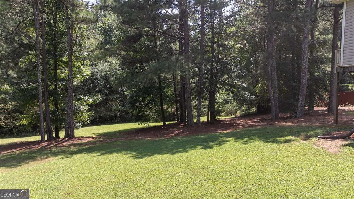 413 Tori Drive Winder - Photo 41