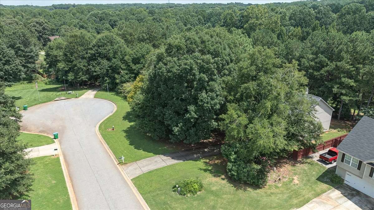 413 Tori Drive Winder - Photo 48