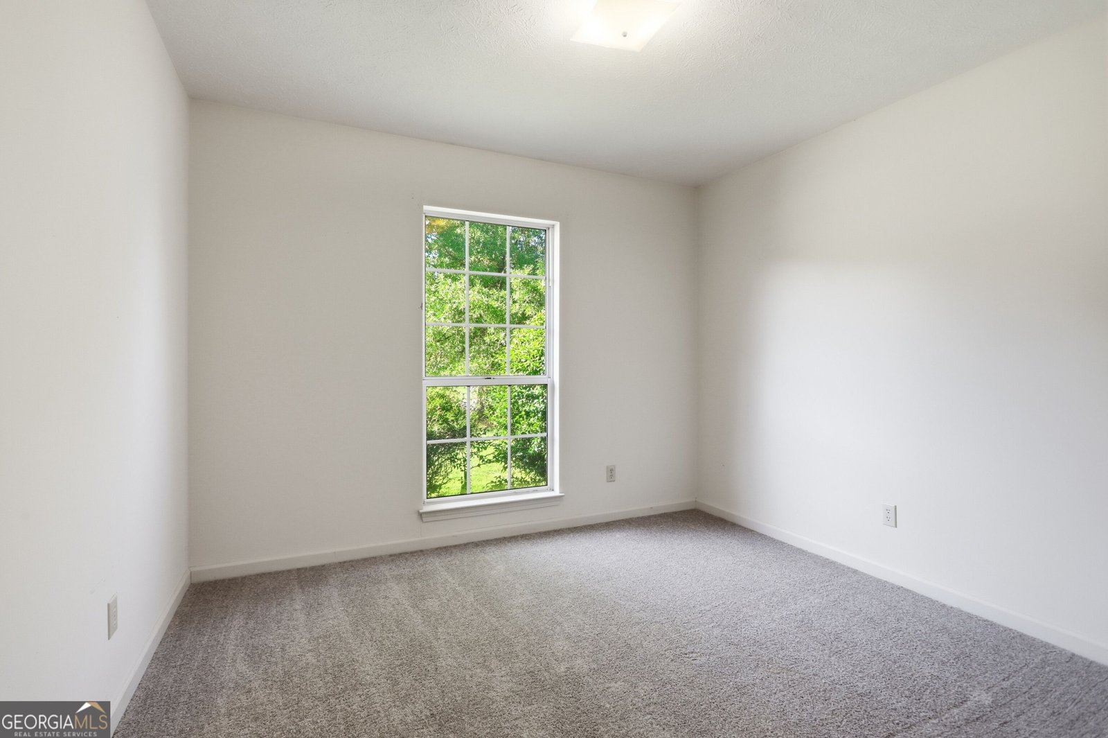 7 Frances Drive Rome - Photo 14