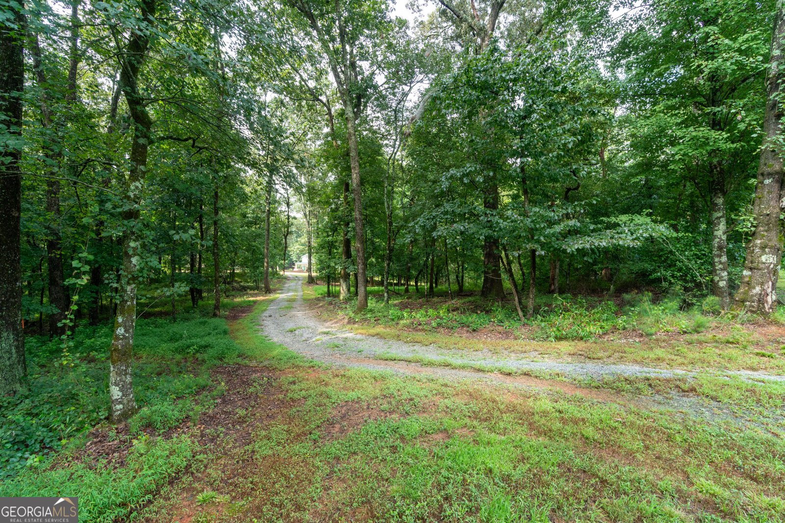 257 Iris Drive Demorest - Photo 40