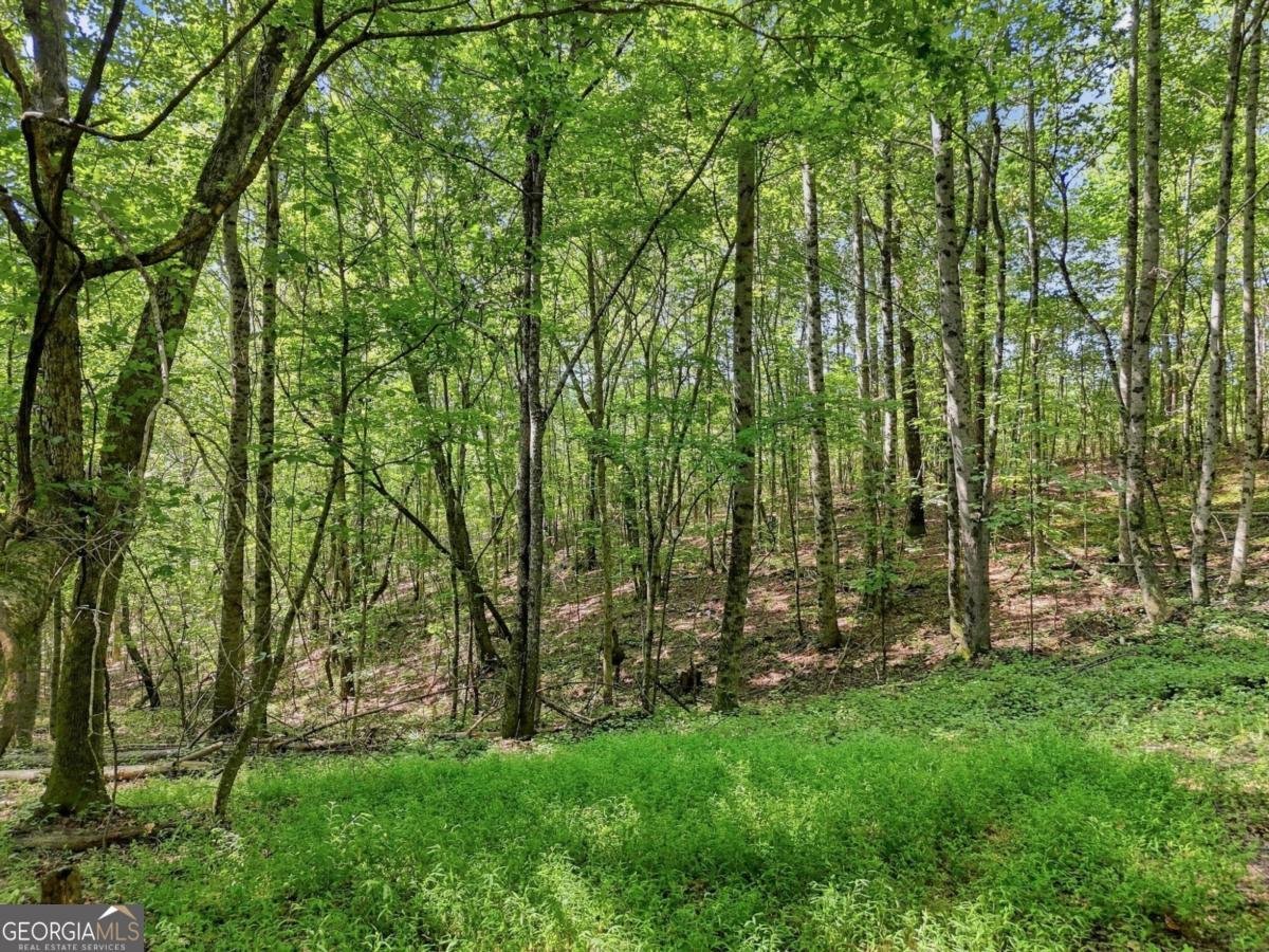 590 Old Shyers Ford Road Talking Rock - Photo 51