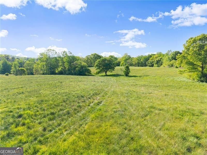 5760 Kanaday Road Murrayville - Photo 104
