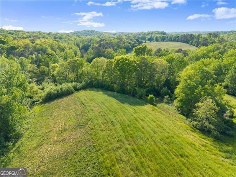 5760 Kanaday Road Murrayville - Photo 108