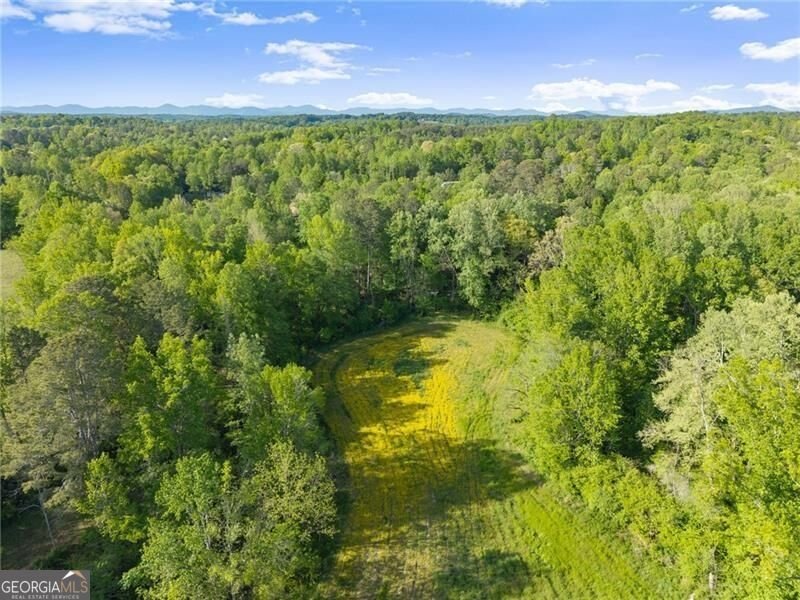 5760 Kanaday Road Murrayville - Photo 112