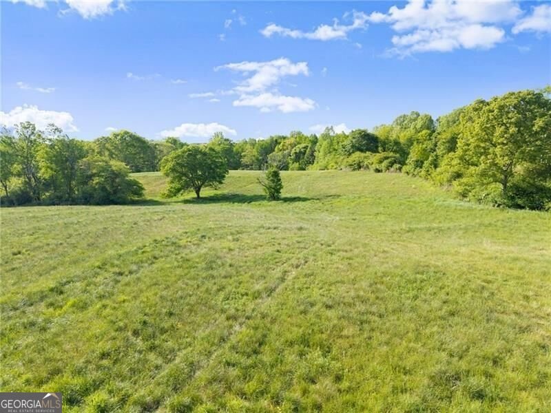 5760 Kanaday Road Murrayville - Photo 119