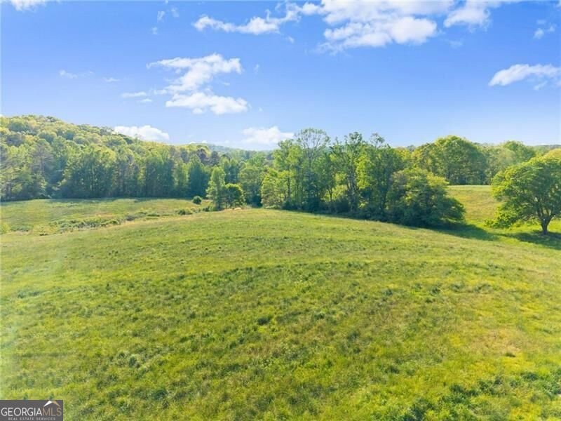 5760 Kanaday Road Murrayville - Photo 120