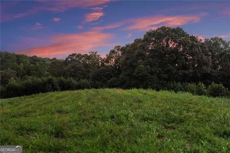5760 Kanaday Road Murrayville - Photo 145