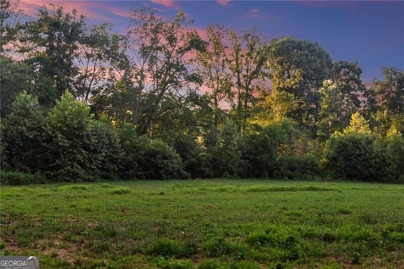 5760 Kanaday Road Murrayville - Photo 148