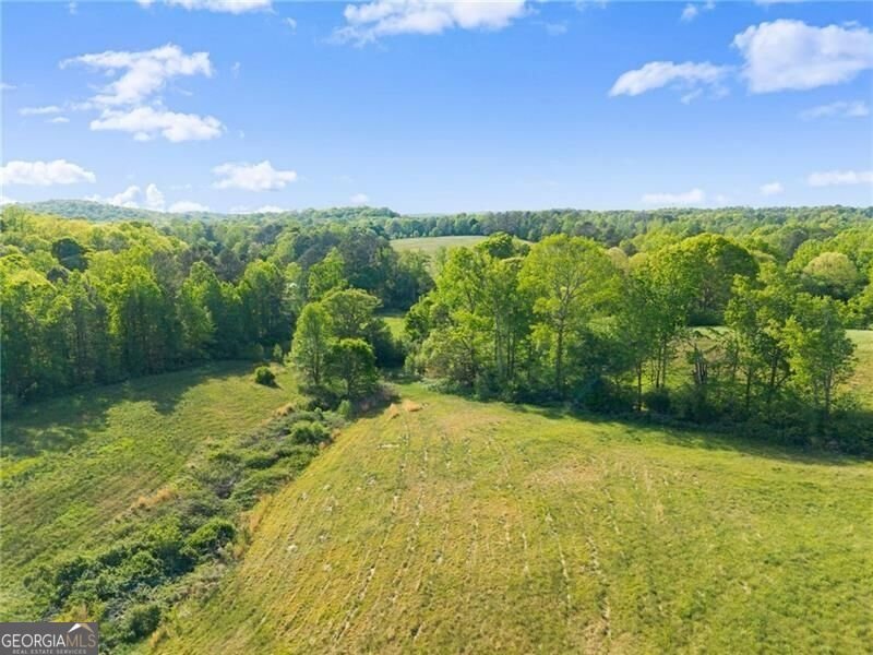 5760 Kanaday Road Murrayville - Photo 98