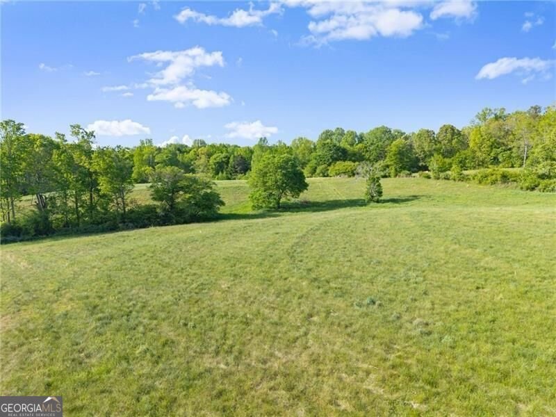 5760 Kanaday Road Murrayville - Photo 99