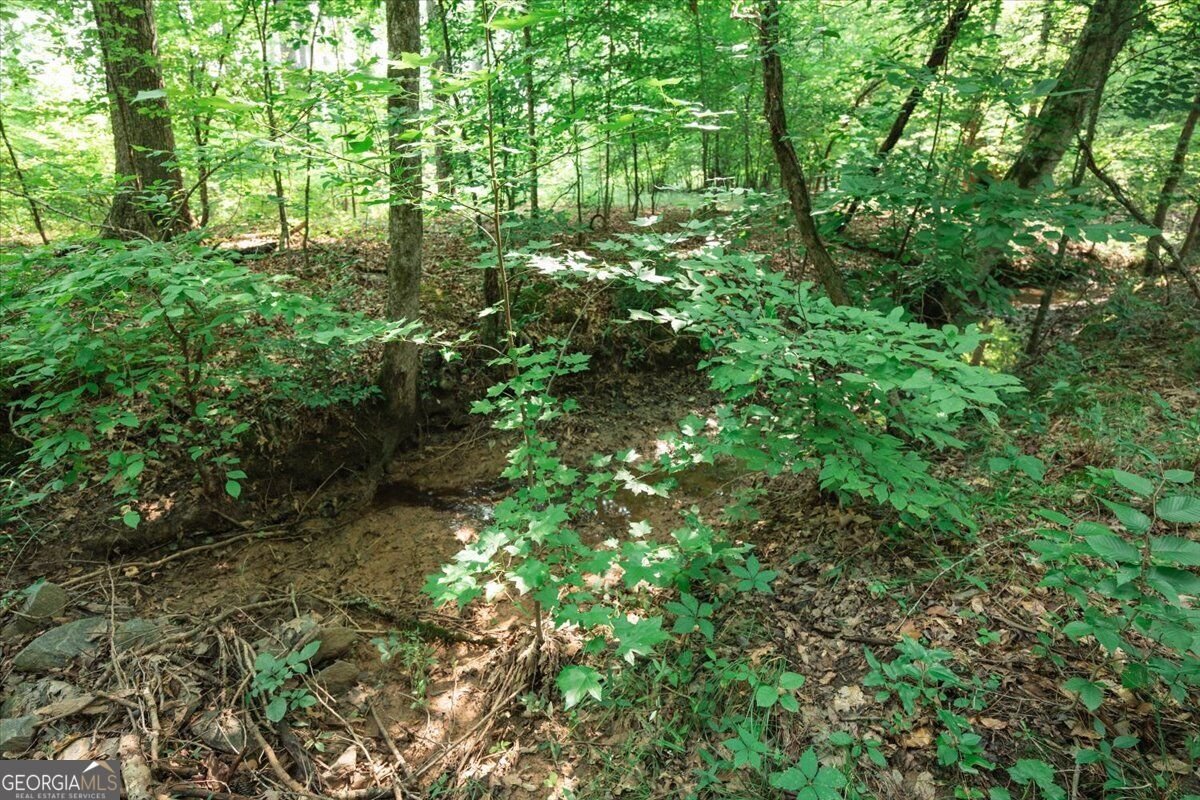 252 Rum Creek Pass Juliette - Photo 38