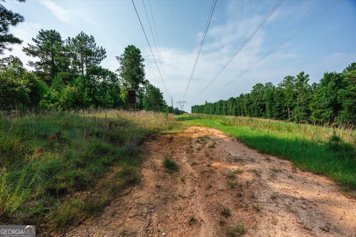 252 Rum Creek Pass Juliette - Photo 42