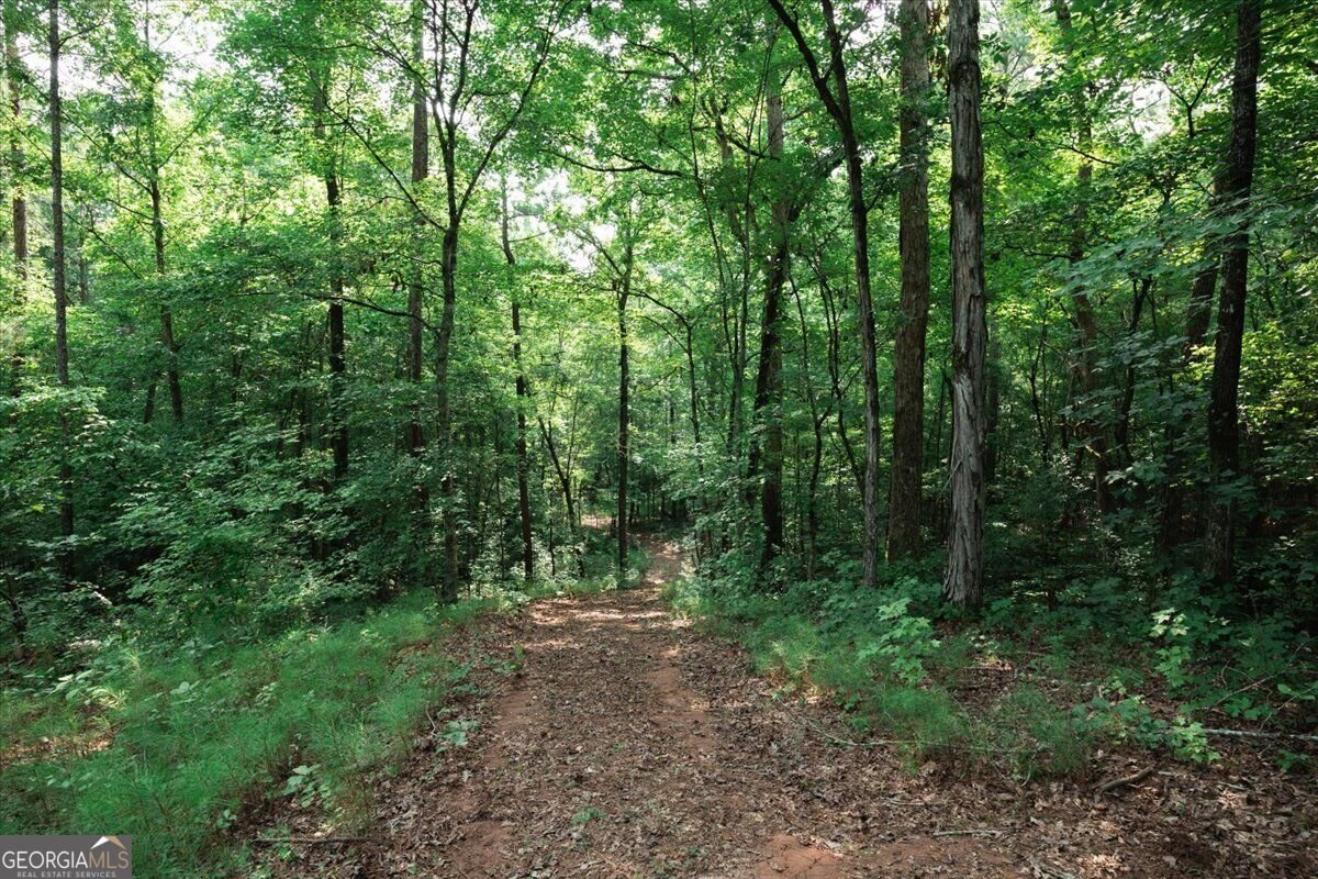 252 Rum Creek Pass Juliette - Photo 44