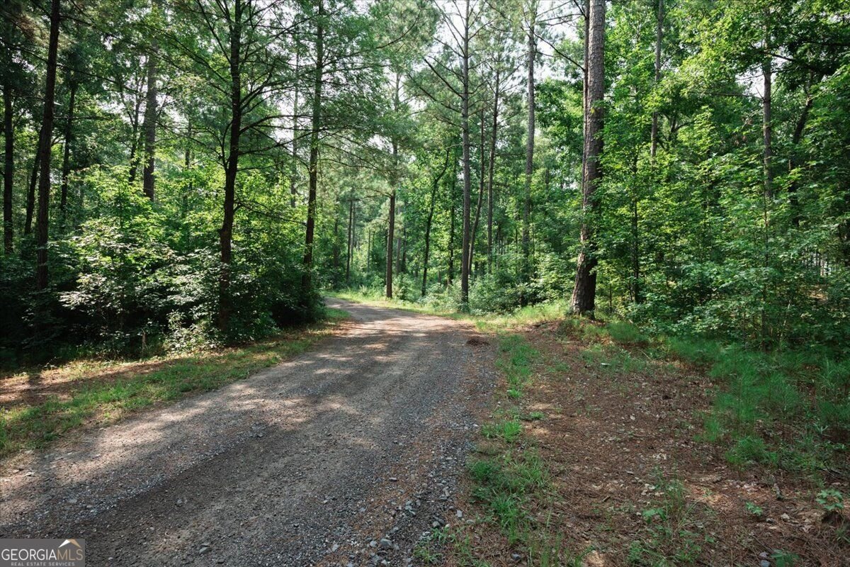 252 Rum Creek Pass Juliette - Photo 46