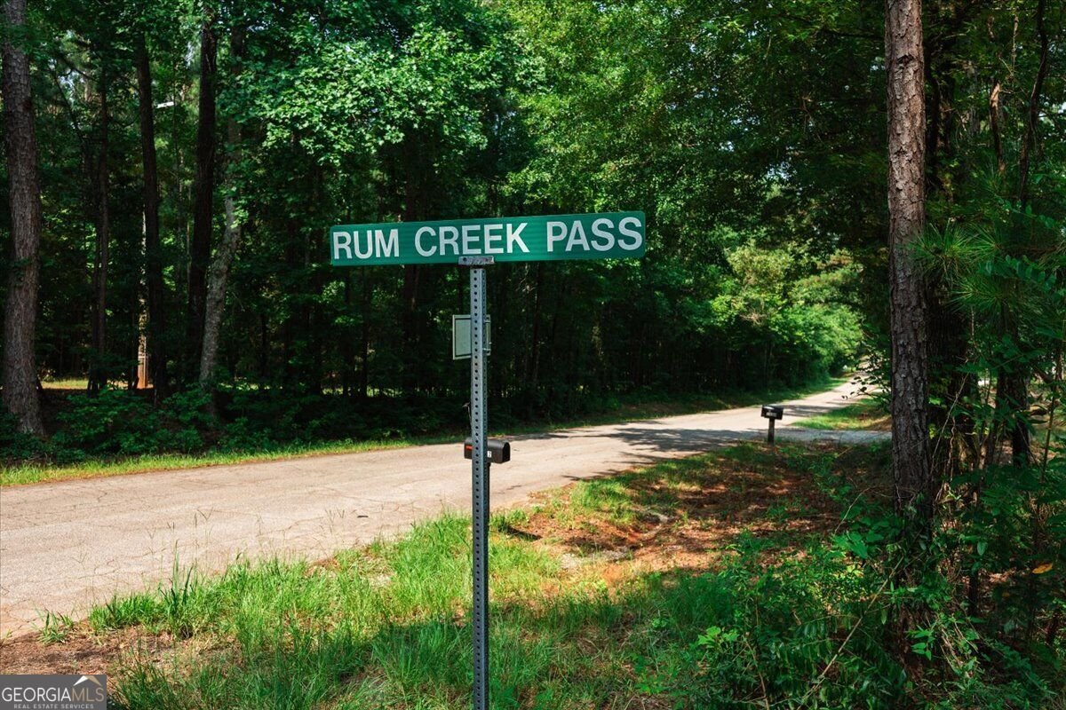 252 Rum Creek Pass Juliette - Photo 57