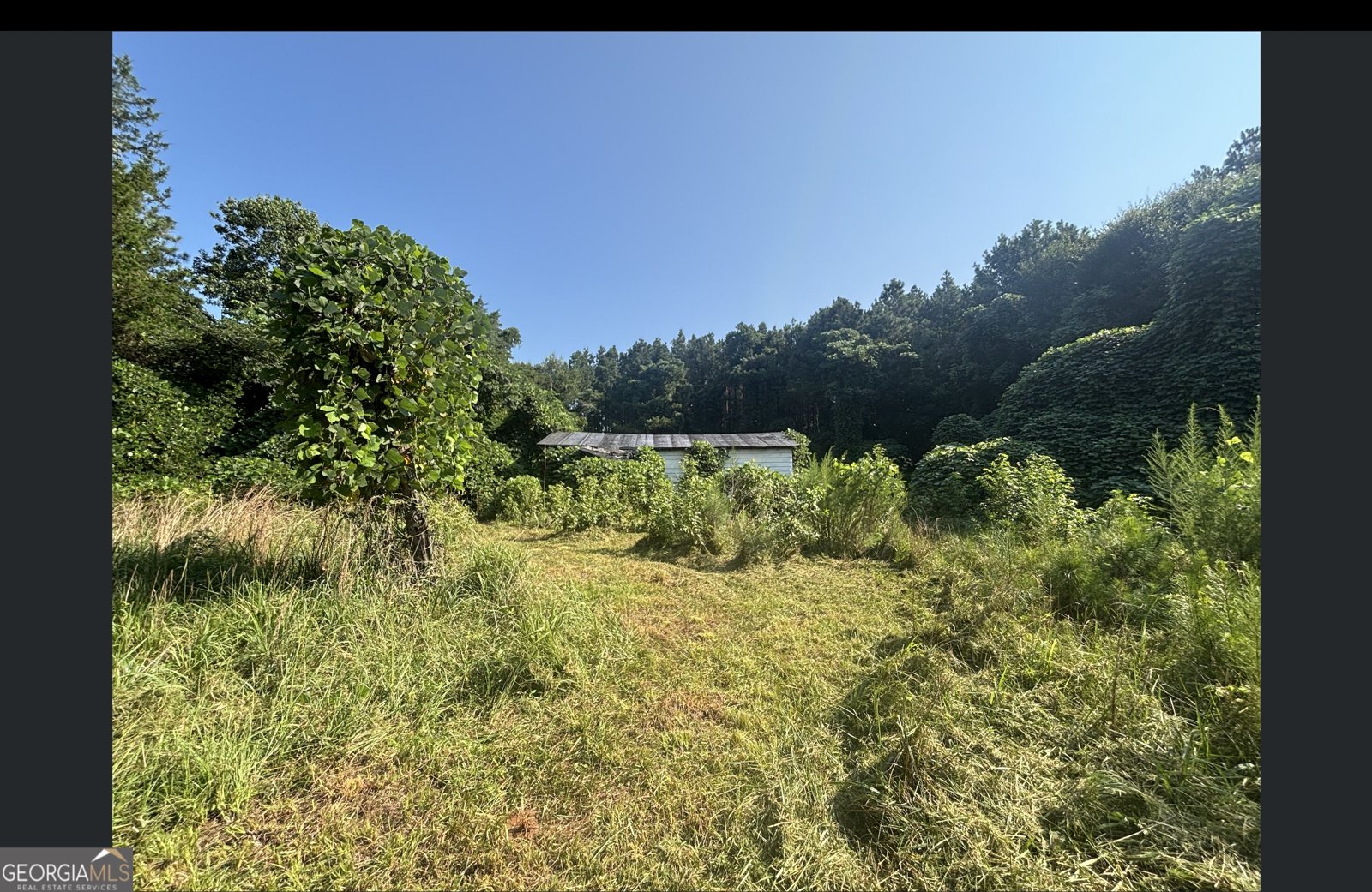 1262 Ridge Road Dewy Rose - main photo
