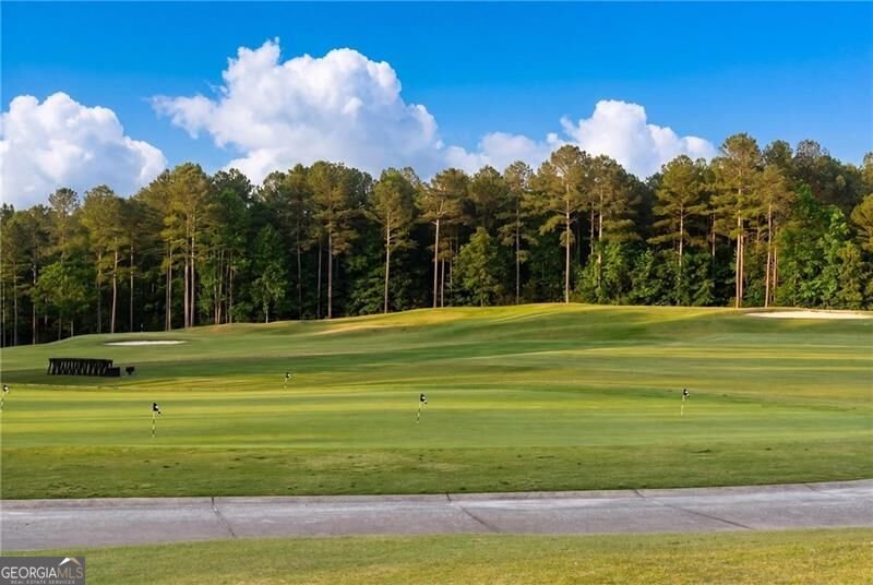 146 Lakeside Drive Dawsonville - Photo 55