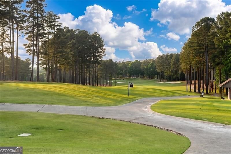 146 Lakeside Drive Dawsonville - Photo 56