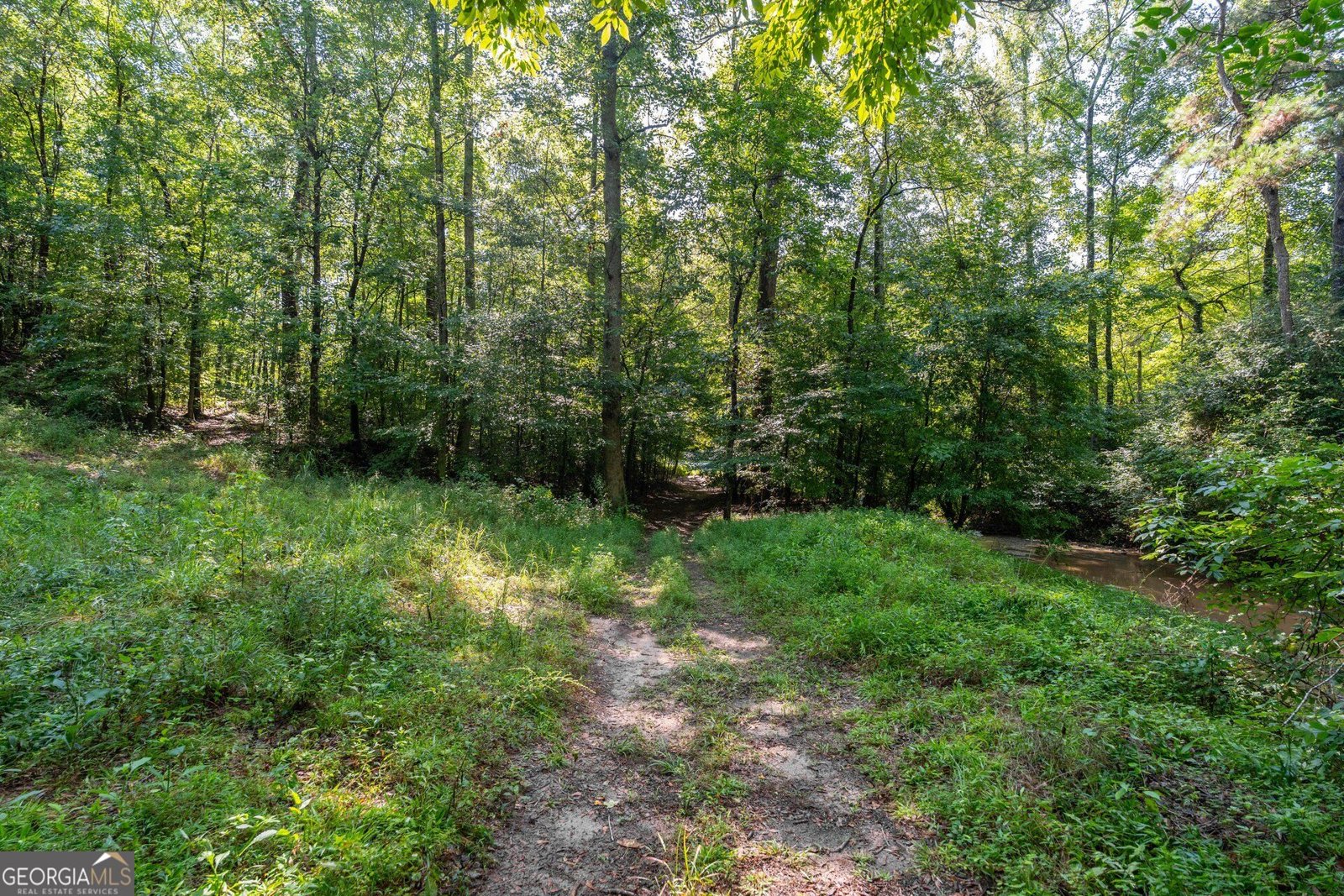 568 Brandenburg Road Franklin - Photo 20