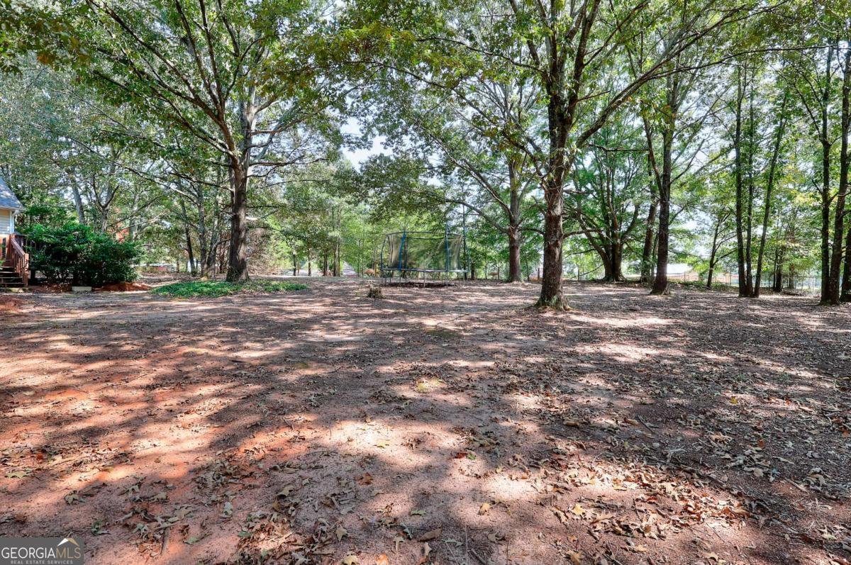 25 Browning Shoals Road Social Circle - Photo 34
