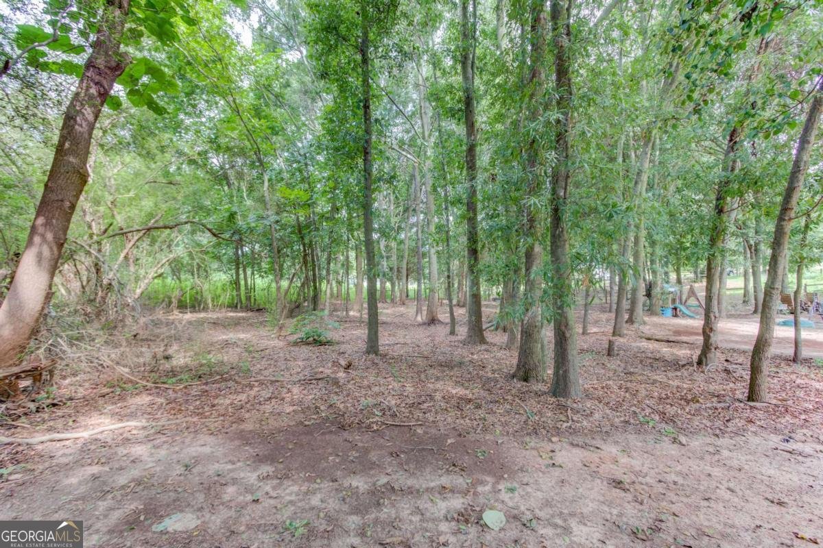 418 Starrs Bridge Road Canon - Photo 30