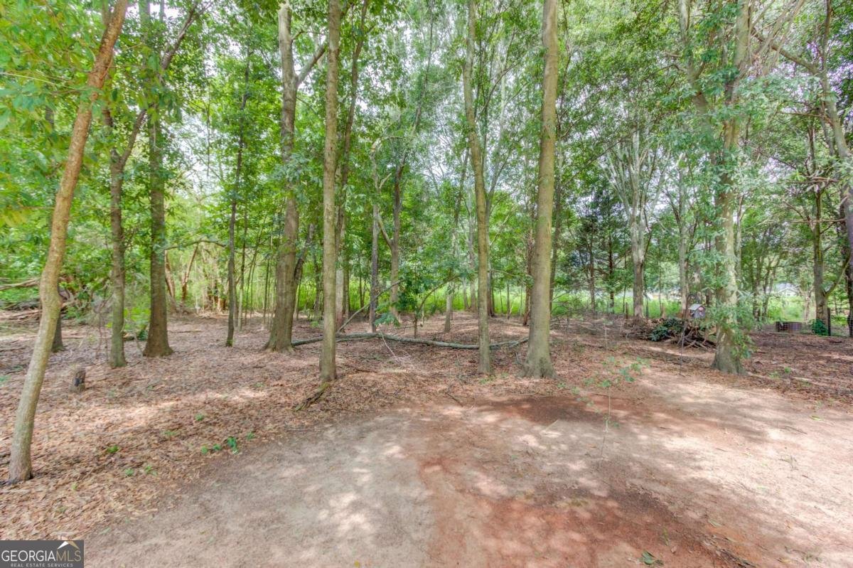 418 Starrs Bridge Road Canon - Photo 31