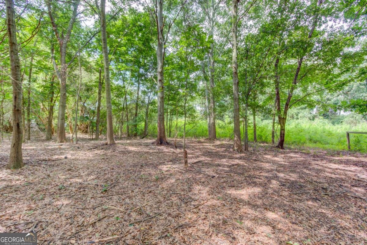 418 Starrs Bridge Road Canon - Photo 32
