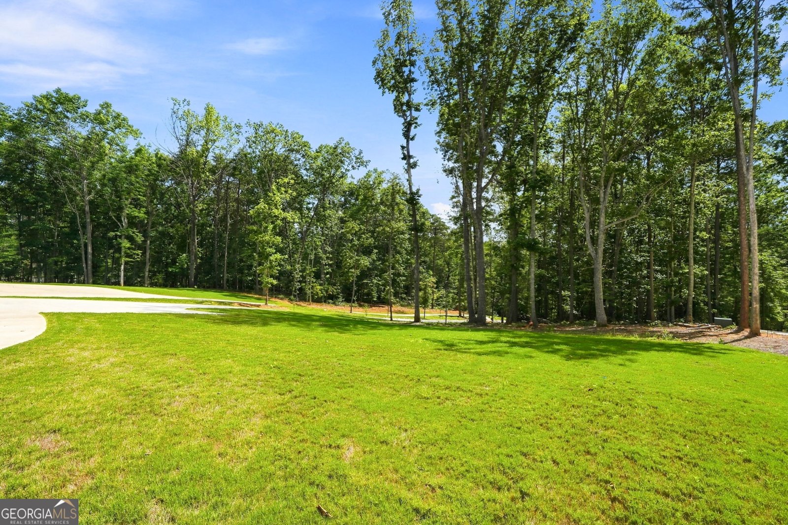 569 Byrd Mountain Lane Canton - Photo 42