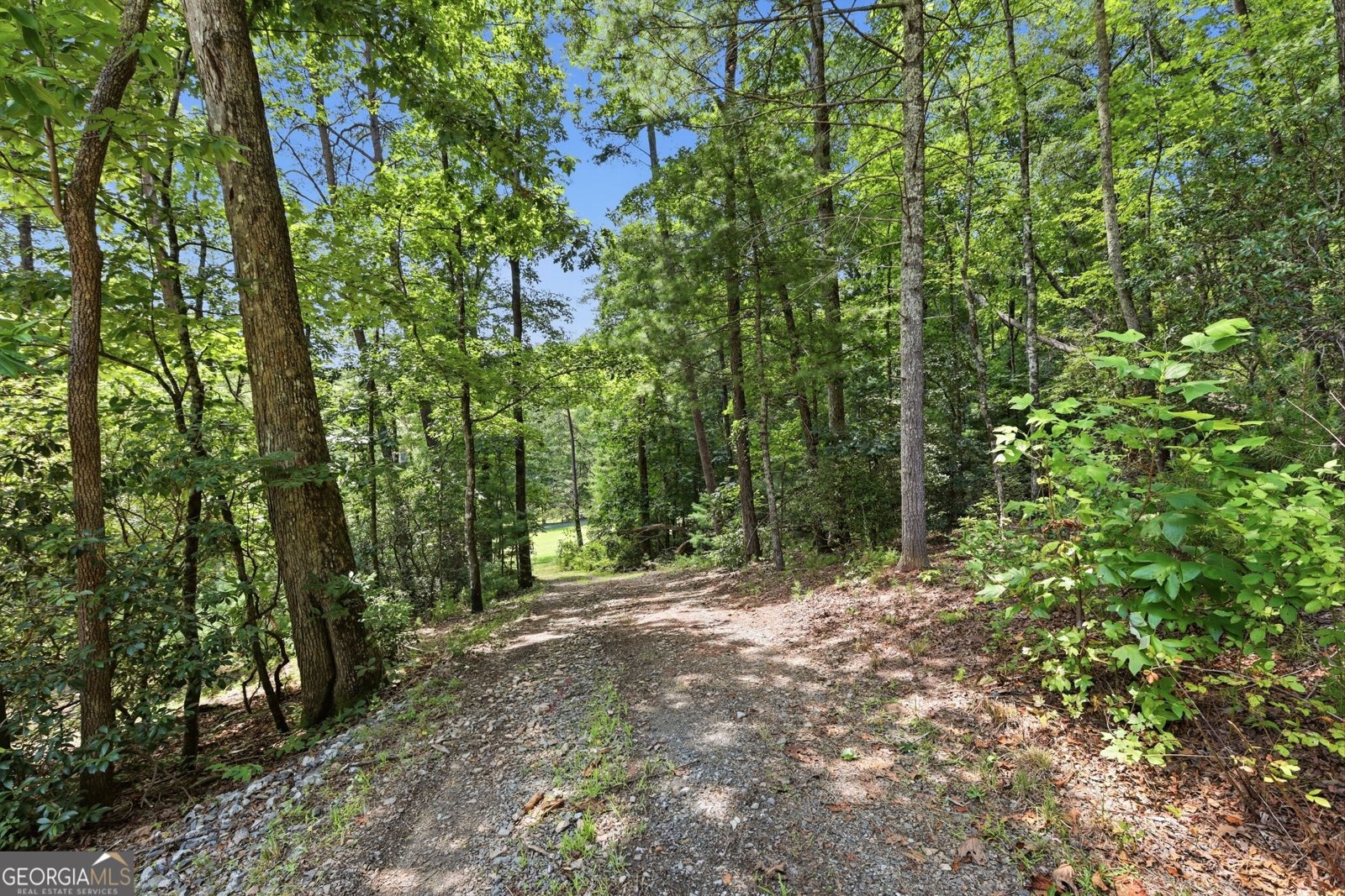 121 Waterfalls Way Clarkesville - Photo 41
