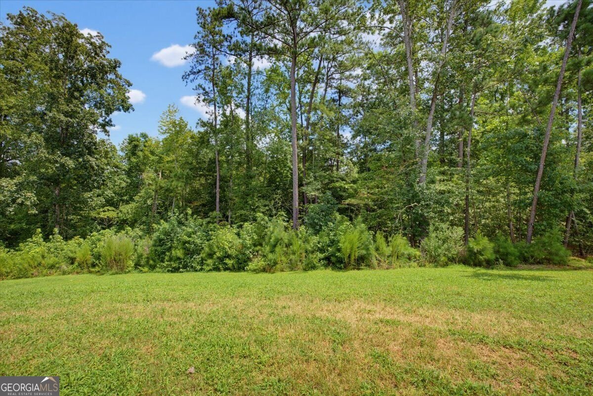 446 Samara Court Fairburn - Photo 35