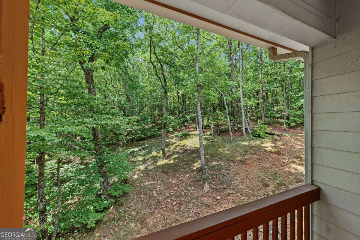 3184 Saint Andrews Way Ellijay - Photo 59