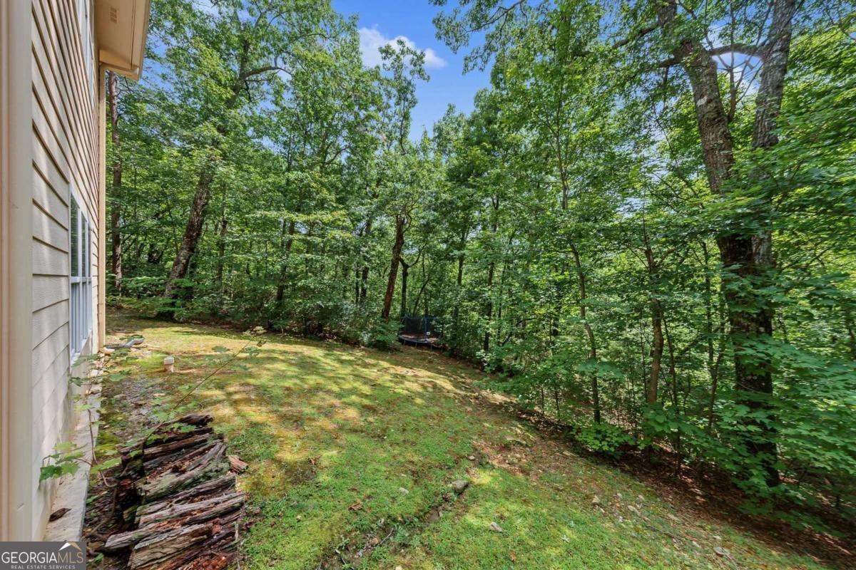3184 Saint Andrews Way Ellijay - Photo 66