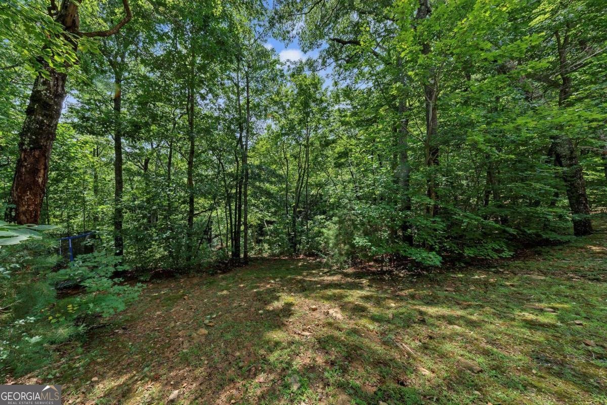 3184 Saint Andrews Way Ellijay - Photo 67