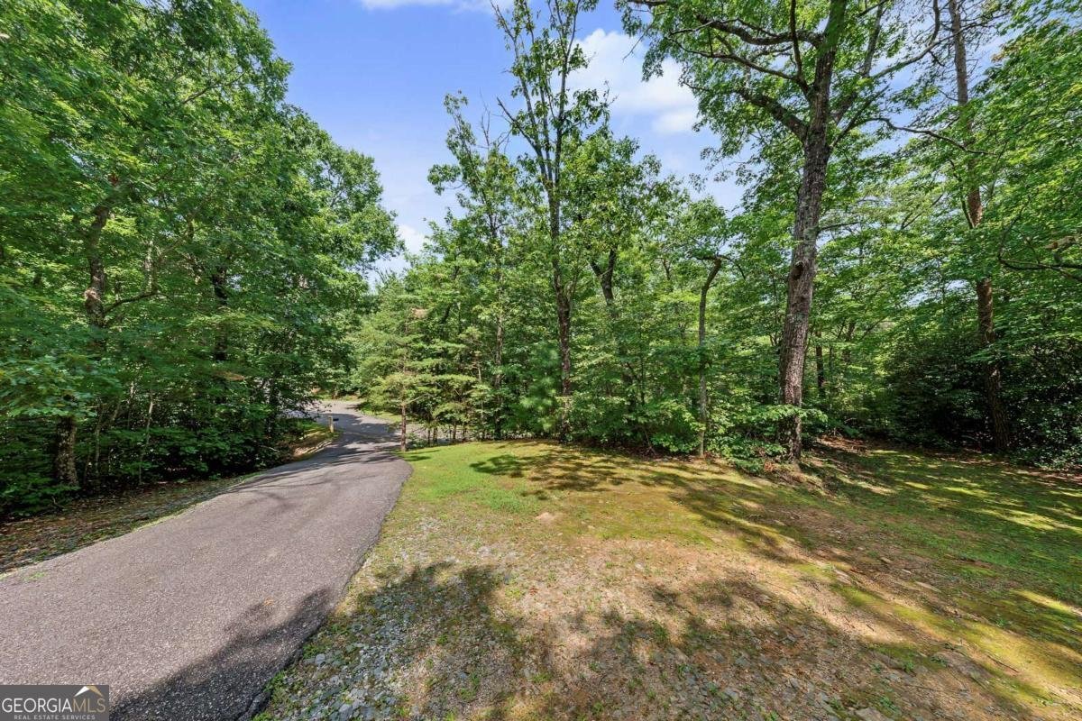 3184 Saint Andrews Way Ellijay - Photo 71