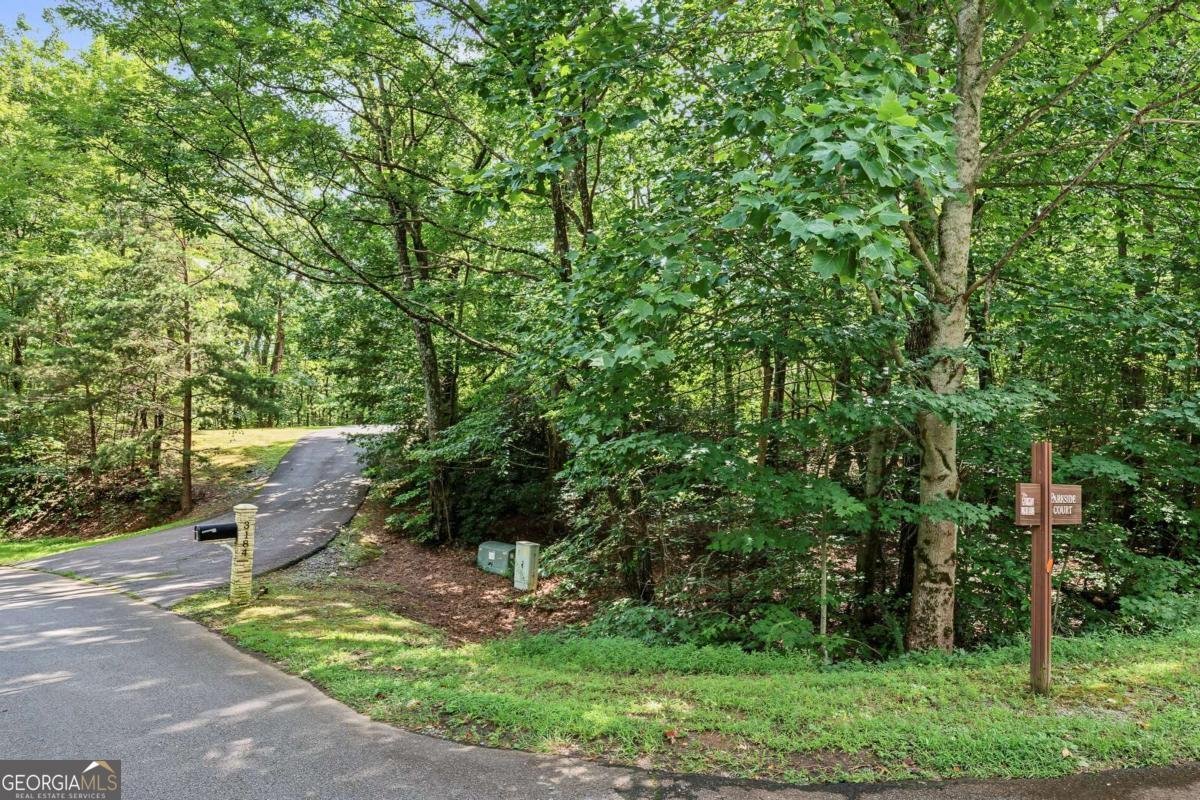 3184 Saint Andrews Way Ellijay - Photo 73