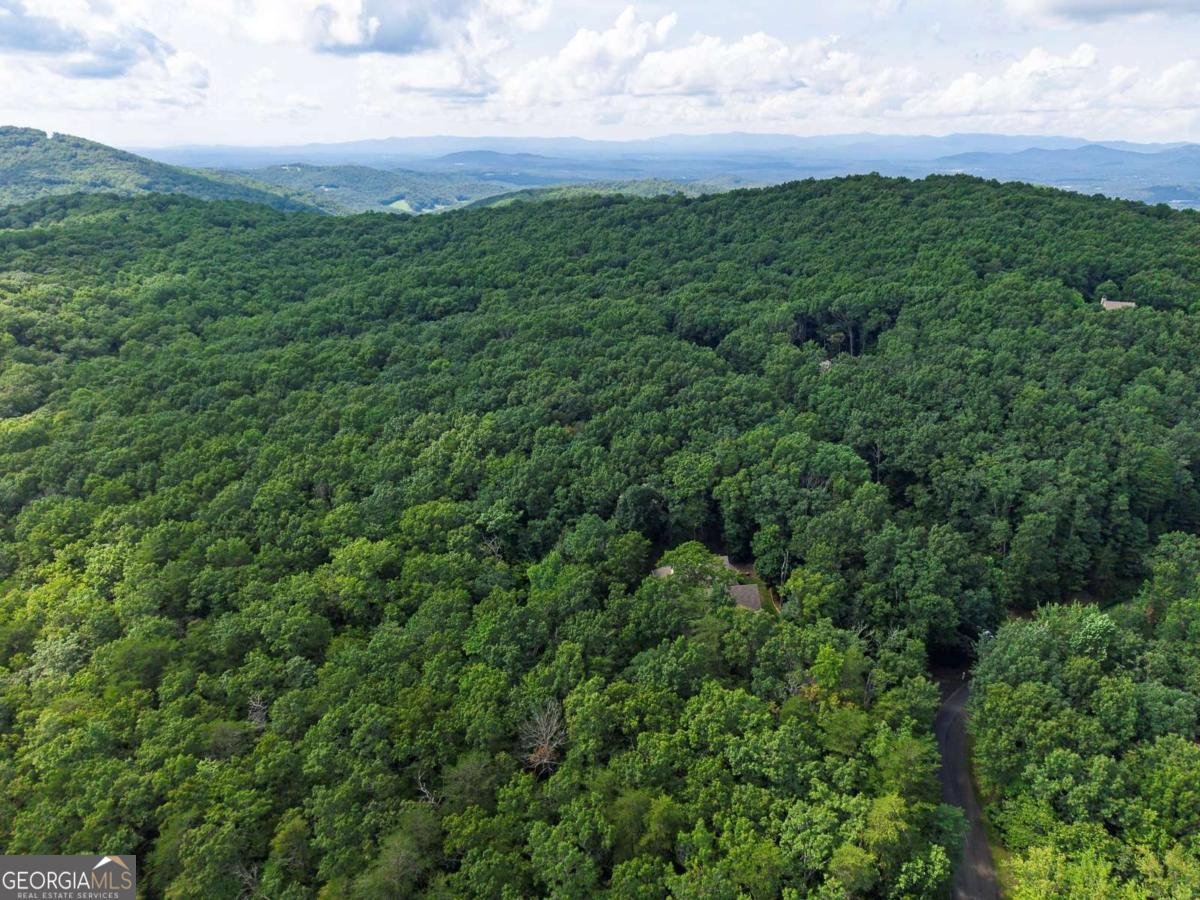 3184 Saint Andrews Way Ellijay - Photo 80