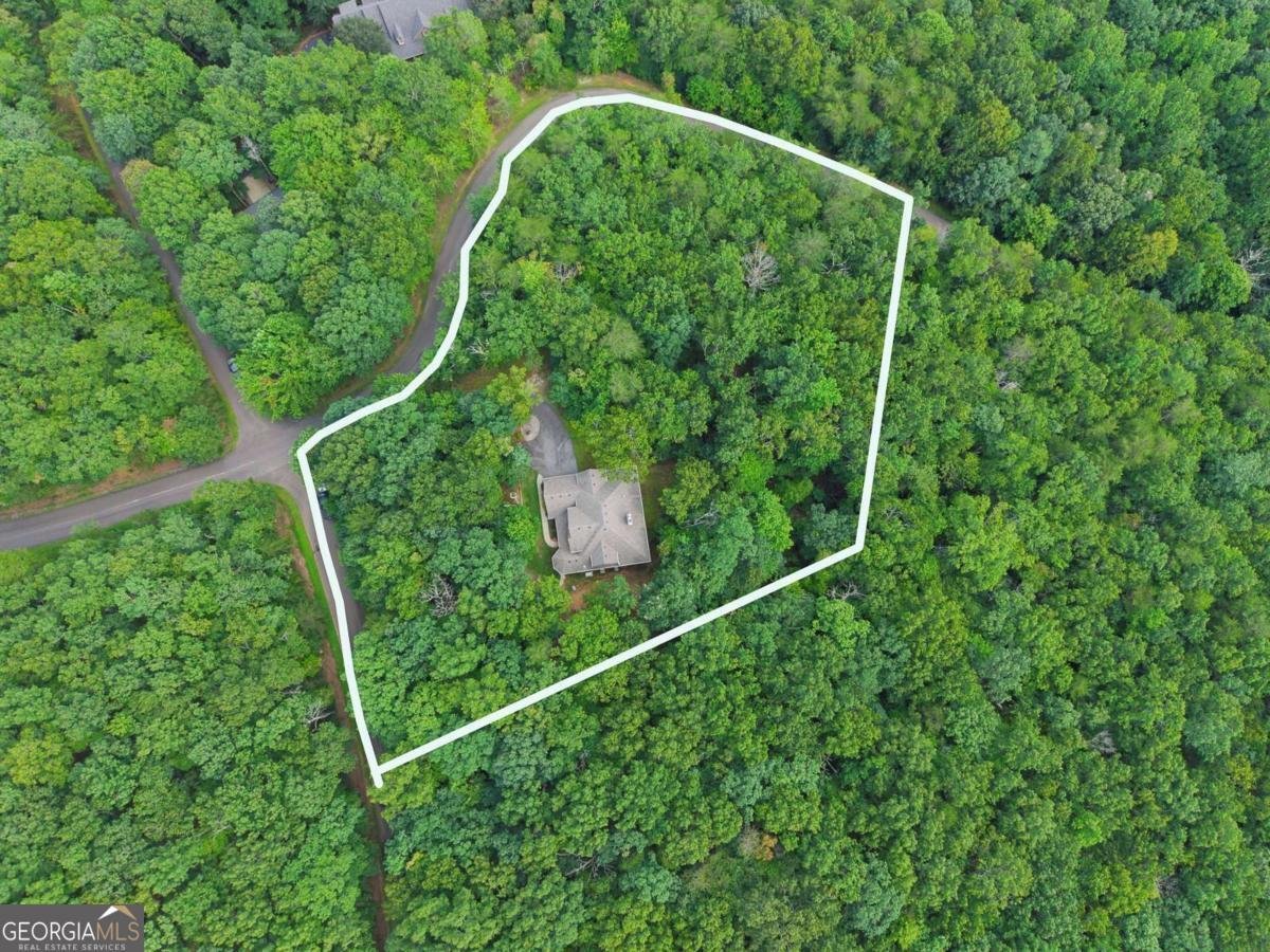 3184 Saint Andrews Way Ellijay - Photo 81