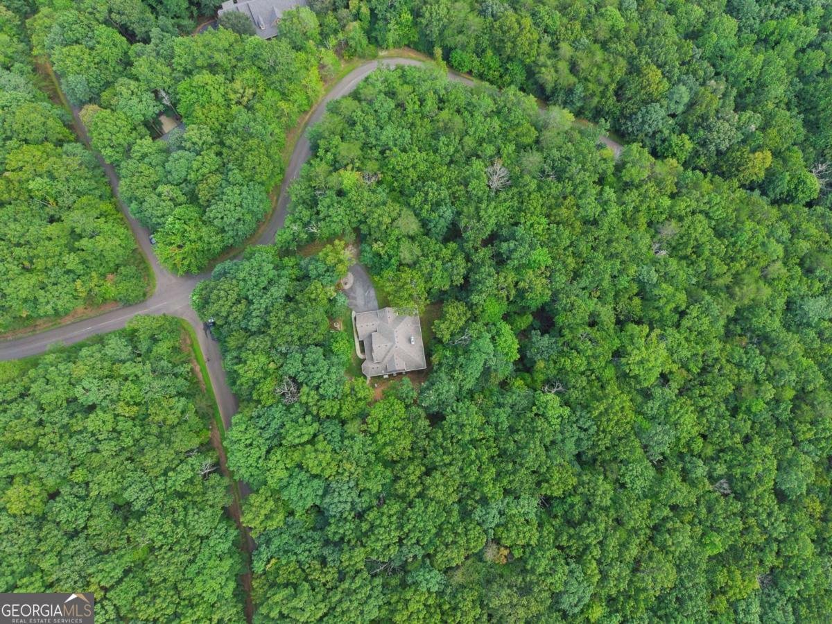 3184 Saint Andrews Way Ellijay - Photo 82