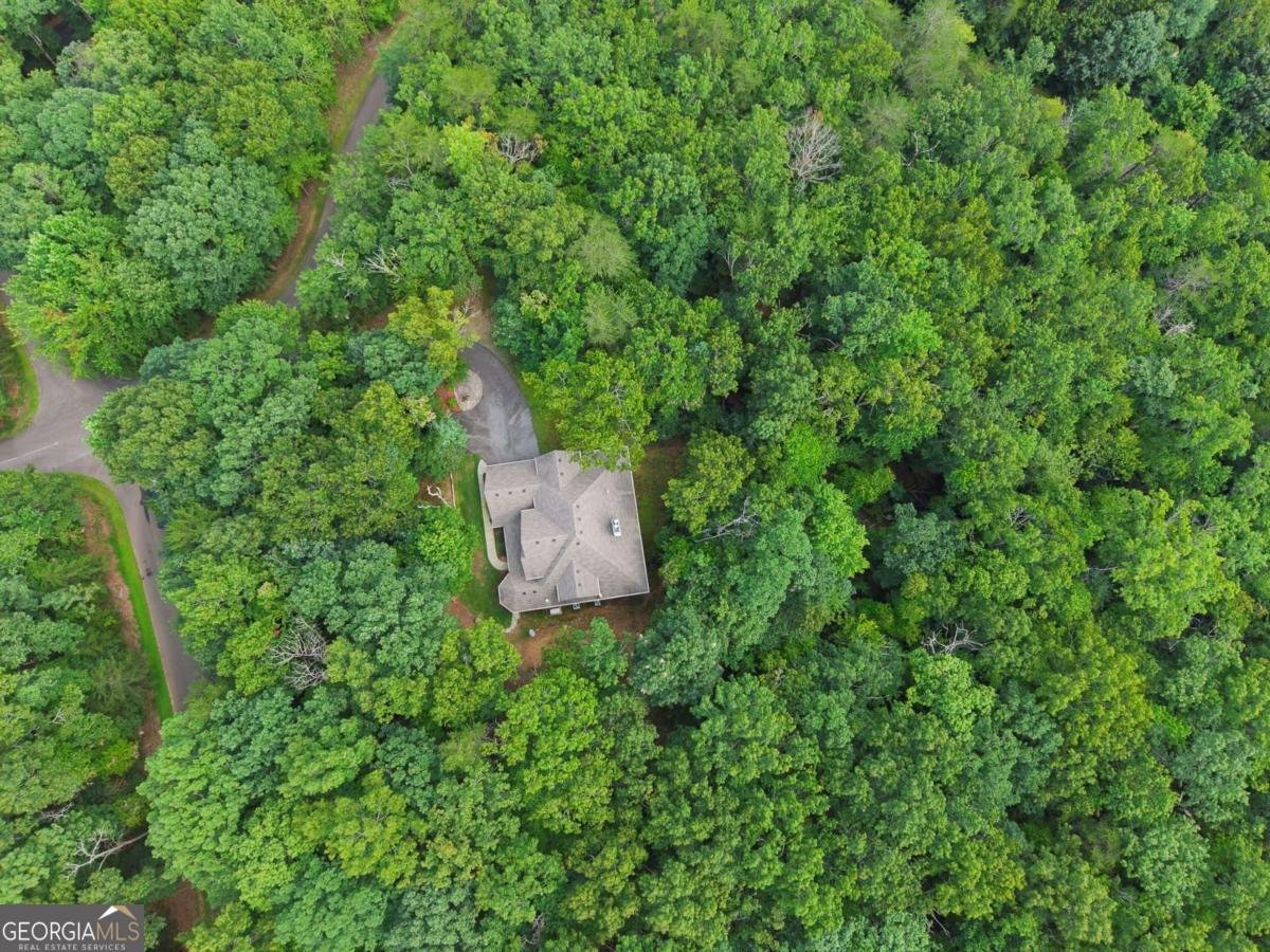 3184 Saint Andrews Way Ellijay - Photo 84