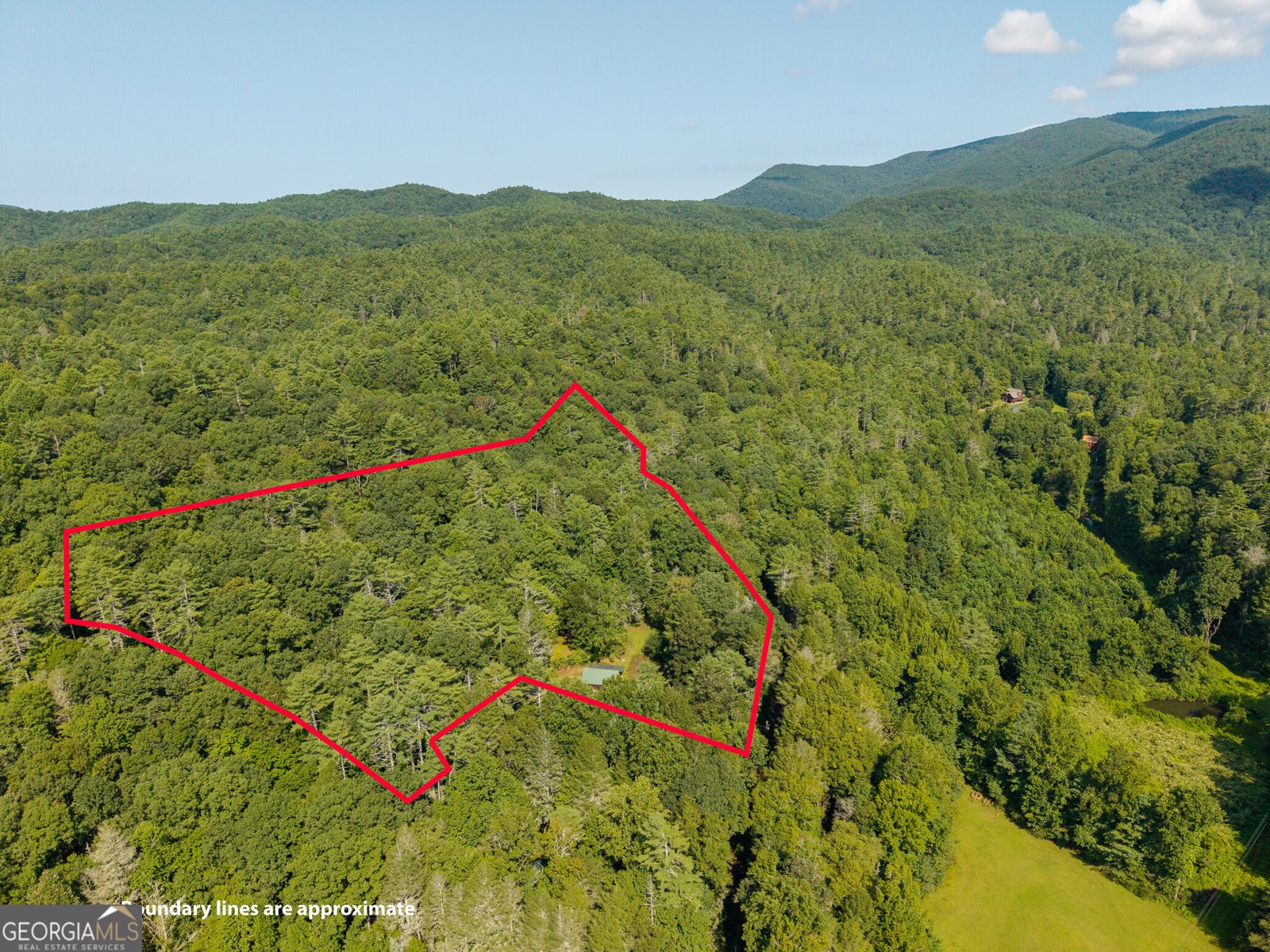 61 Wilderness Trail Ellijay - Photo 18